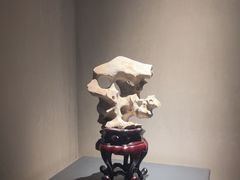 -觀芷隐轩