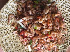 干锅带皮牛肉-古城苗家土菜馆(河景餐厅店)