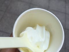 原味冰淇淋-白色日记·手作酸奶(麦凯乐店)