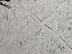 -亚布力新体委滑雪场