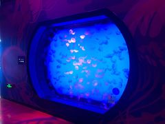 -沈阳海洋探索中心