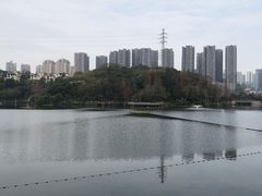 -重庆彩云湖湿地公园