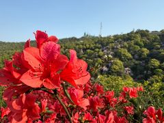 -梧桐山风景名胜区