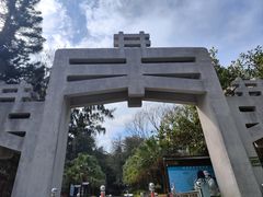 -宋井风景区