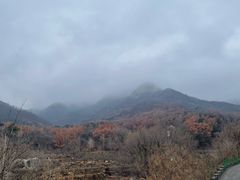 -沂蒙山旅游区云蒙景区(蒙山国家森林公园)