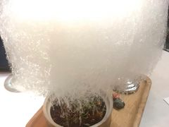 -荟廷·晶萃(陆家嘴尚悦湾店)