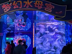-左海海底世界