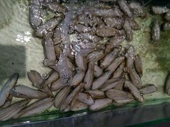 -Isla Sugbu Seafood City