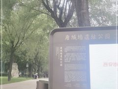 -唐城墙遗址公园