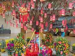 -澳门皇庭海景酒店