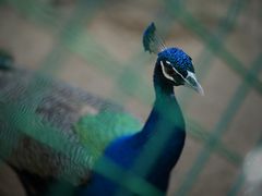 -苏州上方山国家森林公园