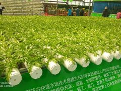 -兰陵国家农业公园