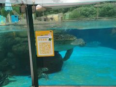 -海合安成都极地海洋公园