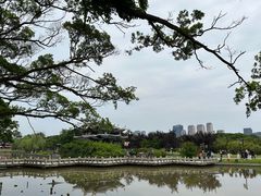-江心屿景区