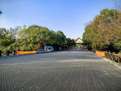 -上海海湾国家森林公园