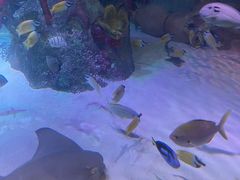 -沈阳海洋探索中心