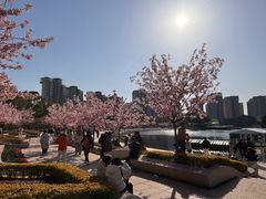 -新江湾城公园