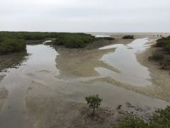 -北海金海湾红树林生态旅游区