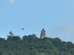 -顺峰山公园