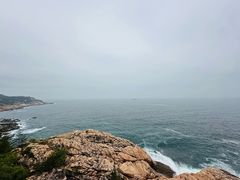 -广东惠东海龟国家级自然保护区