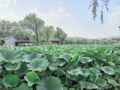 -承德避暑山庄景区
