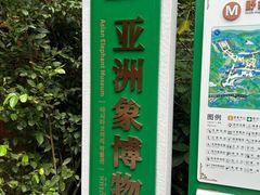 -野象谷景区