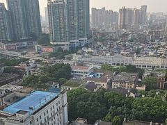 -广州白天鹅宾馆