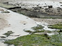 -集美鳌园景区