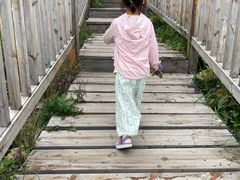 -白草畔自然风景区