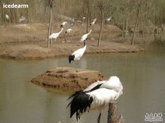 -石家庄市动物园