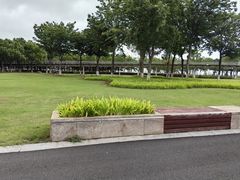 -江滩湿地公园