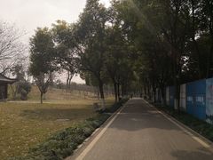 -堤角公园