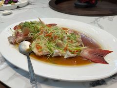 -东海酒家(长平东路店)