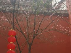 -乌山风景区