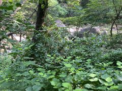 -黑龙潭风景区