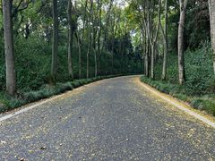 -宜兴龙背山森林公园