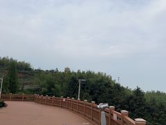 -蔡伦竹海
