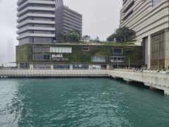 -星光大道