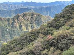 -大岭沟猕猴桃谷风景区