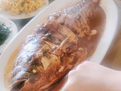 -金台阶鱼馆(于桥水库店)