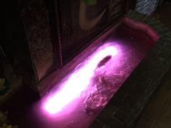 -Siam泰餐厅(水上公园店)