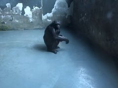 -无锡动物园·太湖欢乐园