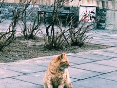 -大钟寺古钟博物馆