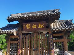 -中国唐苑