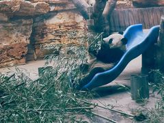 -石家庄市动物园