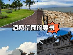-野狸岛