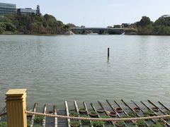 -华侨城湿地公园