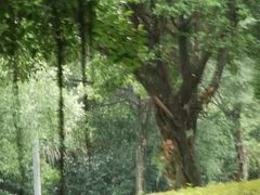 -福建鲤鱼洲酒店