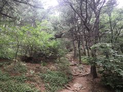 -阳台山自然风景区