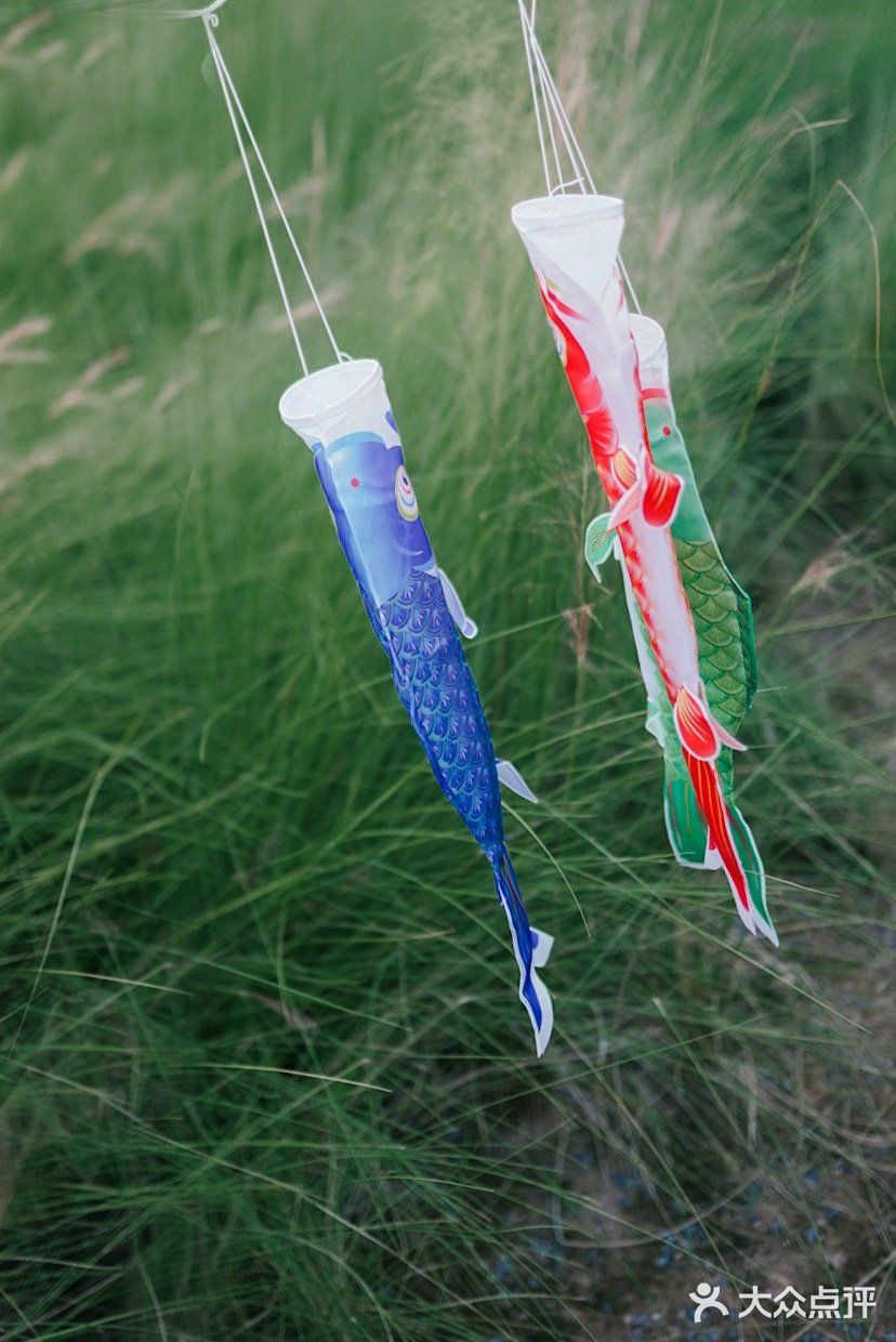 【深圳】初秋出游，千万不要错过红花山的超美粉黛